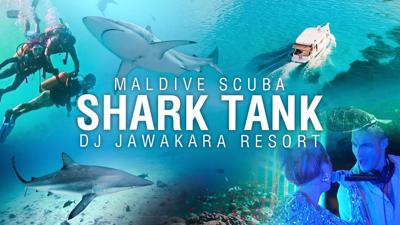 shark-tank-maldives-scuba-hulhumale-dj-show-jawakara-kuredo-youtube