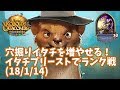【ハースストーン】穴掘りイタチを増やせる!イタチプリーストでランク戦(18/1/14)