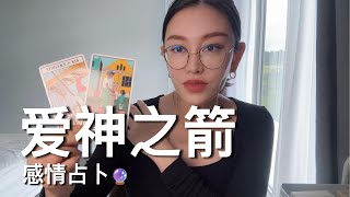 🔮爱神之箭!【无限时感情占卜】