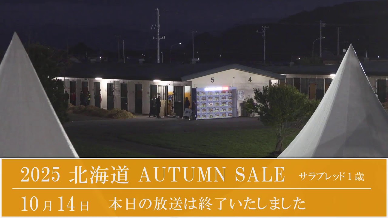 2025 北海道オータムセール2日目 生中継 - YouTube