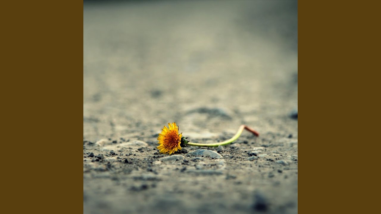 Sleduj Gitme Sevduğum Gitme na YouTube Sleduj Gitme Sevduğum Gitme na YouTube