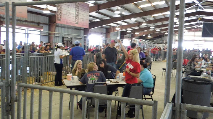 Pig Selection LauraT