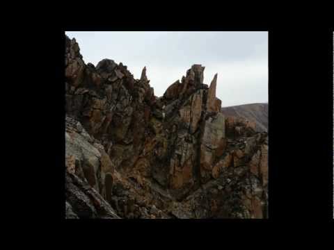 mountain goats on Granite Peak