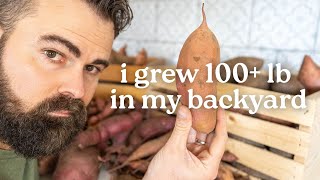 The easiest high productive crop - How to grow, harvest, cure, and store
If you’re looking for a low-effort, high-reward crop, sweet potatoes might be the answer. In this video, I’ll show you exactly how I grow, harvest, cure, and store sweet potatoes for long-term use, from slips to storage. With nearly no effort, I grew more than 100 pounds of sweet potatoes. All I did was plant and wait until harvest. No weeding or pest, just patience. Whether you want to fill your pantry or your market stand, sweet potatoes are one of the most productive and resilient crops you can grow.
🌱 Learn:
- How to start and plant sweet potato slips
- When and how to harvest for big yields
- The right way to cure for flavor and storage life
- Why do you cure sweet potatoes
- Simple storage methods that keep them fresh for months
#gardening #sweetpotatoes #foodsecurity #homestead The easiest high productive crop - How to grow, harvest, cure, and store