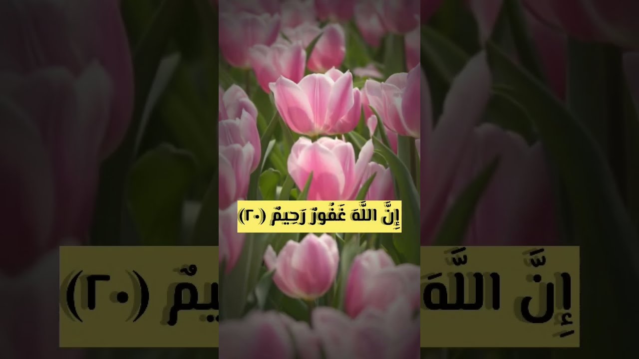وَاسْتَغْفِرُوا اللَّهَ ۖ إِنَّ اللَّهَ غَفُورٌ رَحِيمٌ 🌱🌸القرآن كريم سورة المزمل🌸