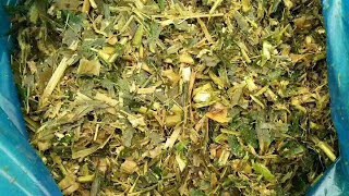 Silage making in bags silage compress baging machine