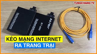 Cách Đơn Giản Để Đưa Mạng Internet Ra Vườn, Trang Trại - Cách Kéo Dây Mạng LAN Đi Xa