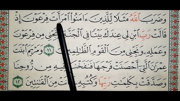 سورة التحريم ١٠_١٢ @QURAN-TEACHER-AR