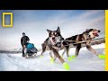 See How Dog Sledding Helped This Photographer Get Her Spark Back | Short Film Showcase