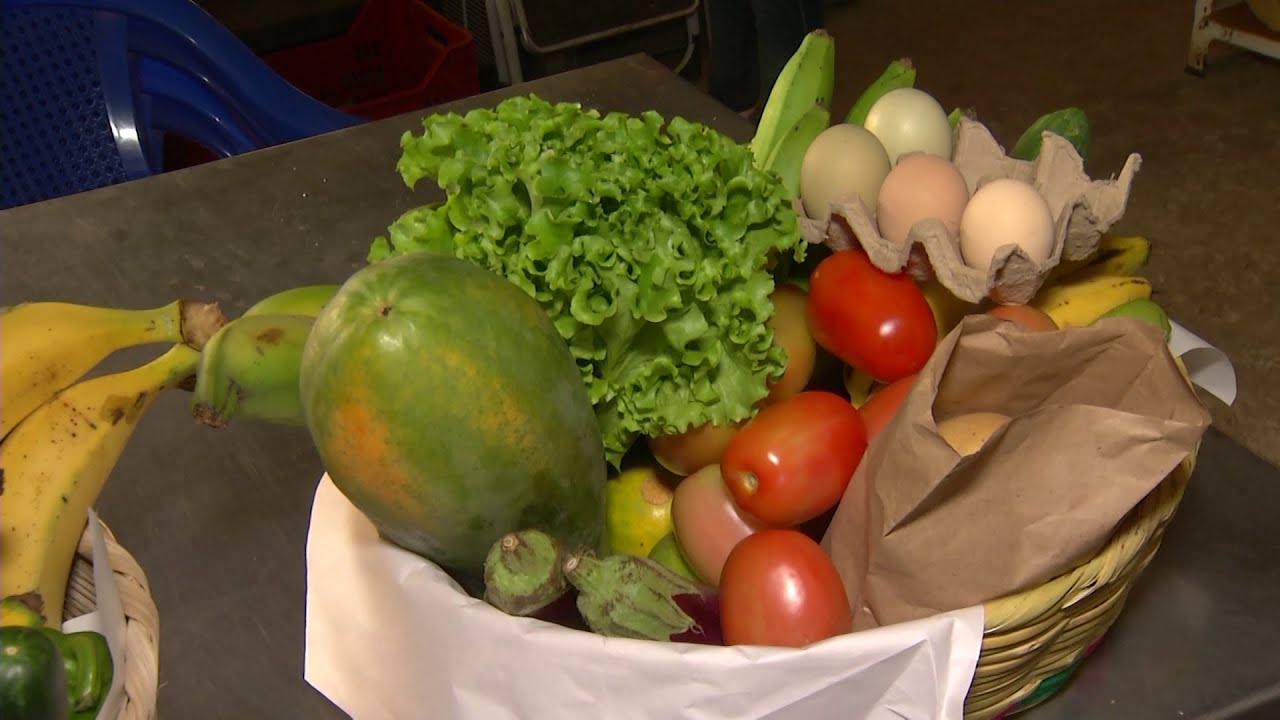 Hechos del Agro - Saliendo adelante con la canasta campesina