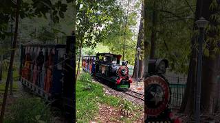 🚂 Toy Train Ride at Cubbon Park Bal Bhavan | Fun Moments in Bangalore! #shorts