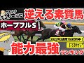 【ホープフルステークス2024】クロワデュノールは”本物”なのか？中山で最大パフォーマンスを発揮できる強豪は誰か会議【競馬予想】