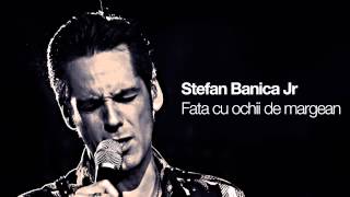 Video thumbnail of "Stefan Banica - Fata cu ochii de margean"
