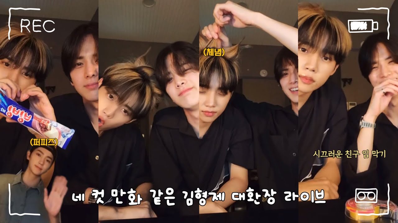 [더보이즈/영훈 선우] 네 컷 만화 같은 김형제 대환장 라이브 (with 현재까지 = 퍼피즈 모임)