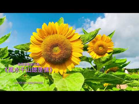 《萬水千山總是情》加長版 演唱：汪明荃 作曲：顧嘉輝 作詞：黃霑