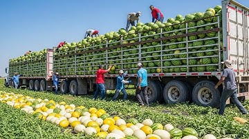 How American Farmers Harvest Thousands Of Tons Of Fruits And Vegetables #2