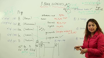 13 Group -  13 GP INTRODUCTION