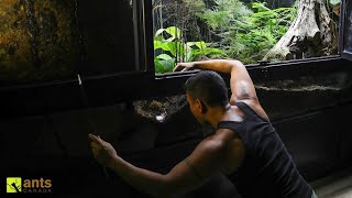 Thumbnail for Digging Up a Mystery Egg That I Buried in My Giant Rainforest Vivarium