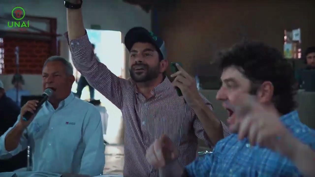 LEILÃO SAFRINHA - INDÚSTRIA DE TOUROS RIMA 