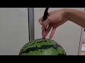 1강 : 카빙칼 잡는 방법과 사용법 (Lesson 1 : How to hold and use a knife)