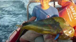 Dorado.wmv