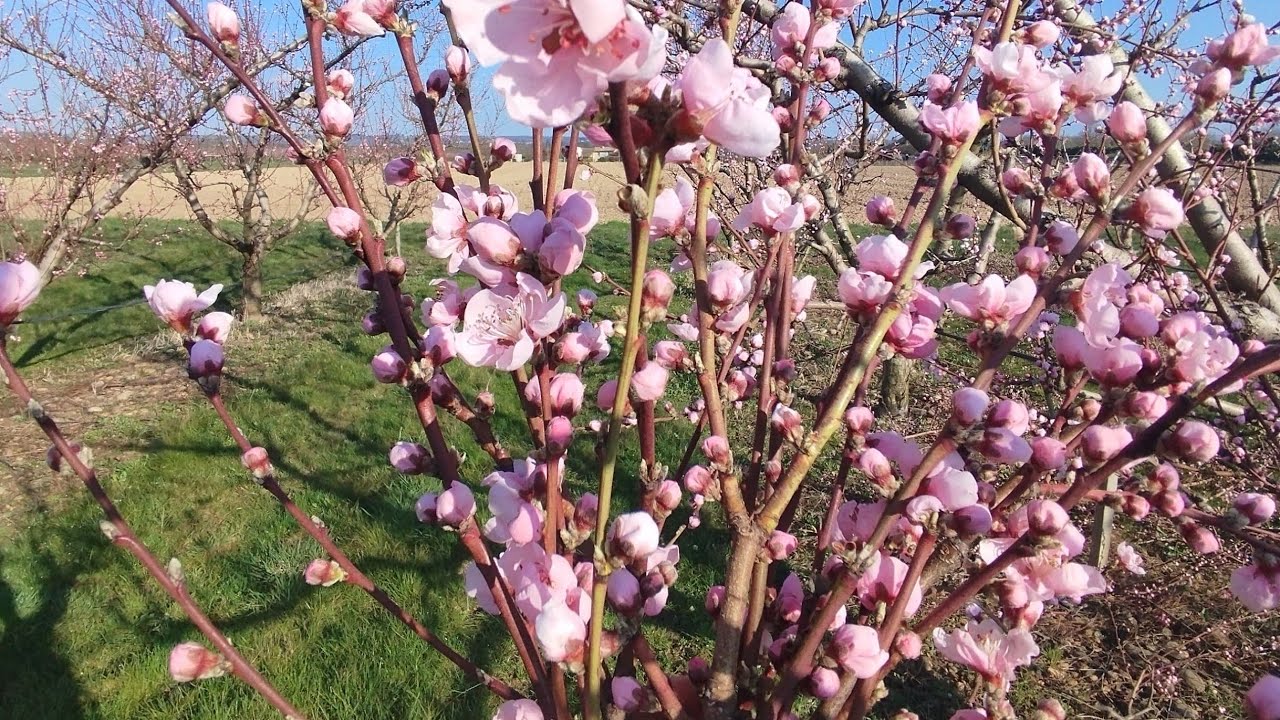تحياتي للجميع ❤️🇲🇦✌️