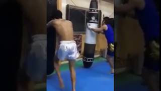 2017021101 toellgym.com