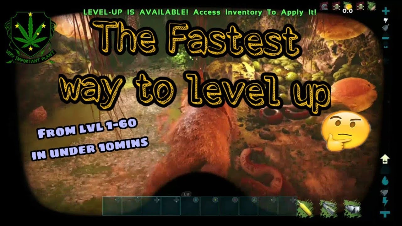 The fastest way to level up