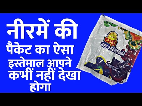 वीडियो: पत्तों से क्या शिल्प बनाए जा सकते हैं