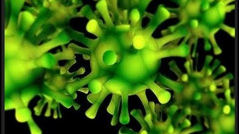 Crear Virus Con Python