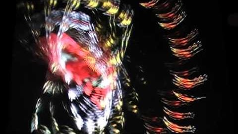 FLASH WARNING flash strobe warning [EPILEPSY WARNING] new 4 *Photosensitivity Warning*