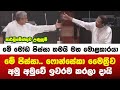 මේ මෝඩ පිස්සා තමයි මහ මොළකාරයා