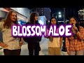 Capture de la vidéo Blossom Aloe Interview