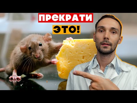 Превью видео: 15 вещей, которые НЕНАВИДЯТ домашние крысы | Ветеринар о главных ошибках владельцев