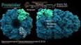 Protein Yapılarının Biyofiziksel Analizi ile ilgili video