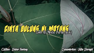 CINTA BULUNG MOTUNG || lirik dan terjemahan nya