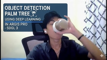 OBJECT DETECTION PALM TREE USING DEEP LEARNING IN ARCGIS PRO - SDGL 3
