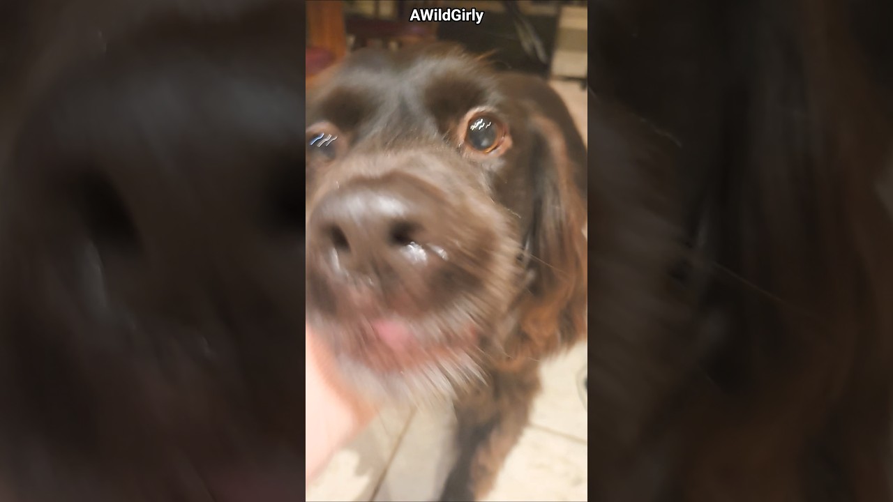 Ok Einstein, I See You 😂😂😂