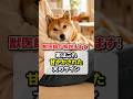 実はコレ、甘やかされた犬のサイン