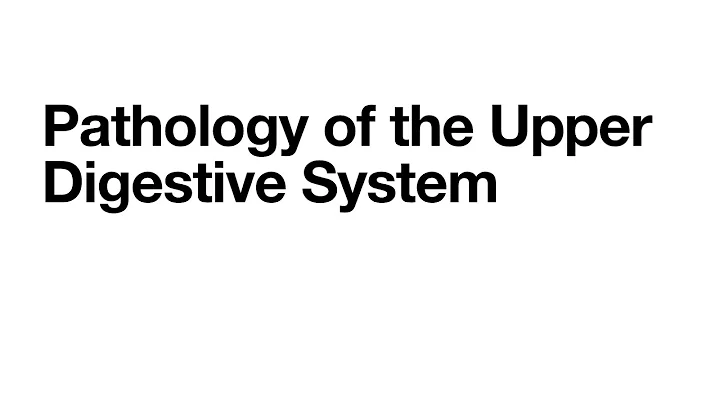 Pathologies of the digestive system - upper