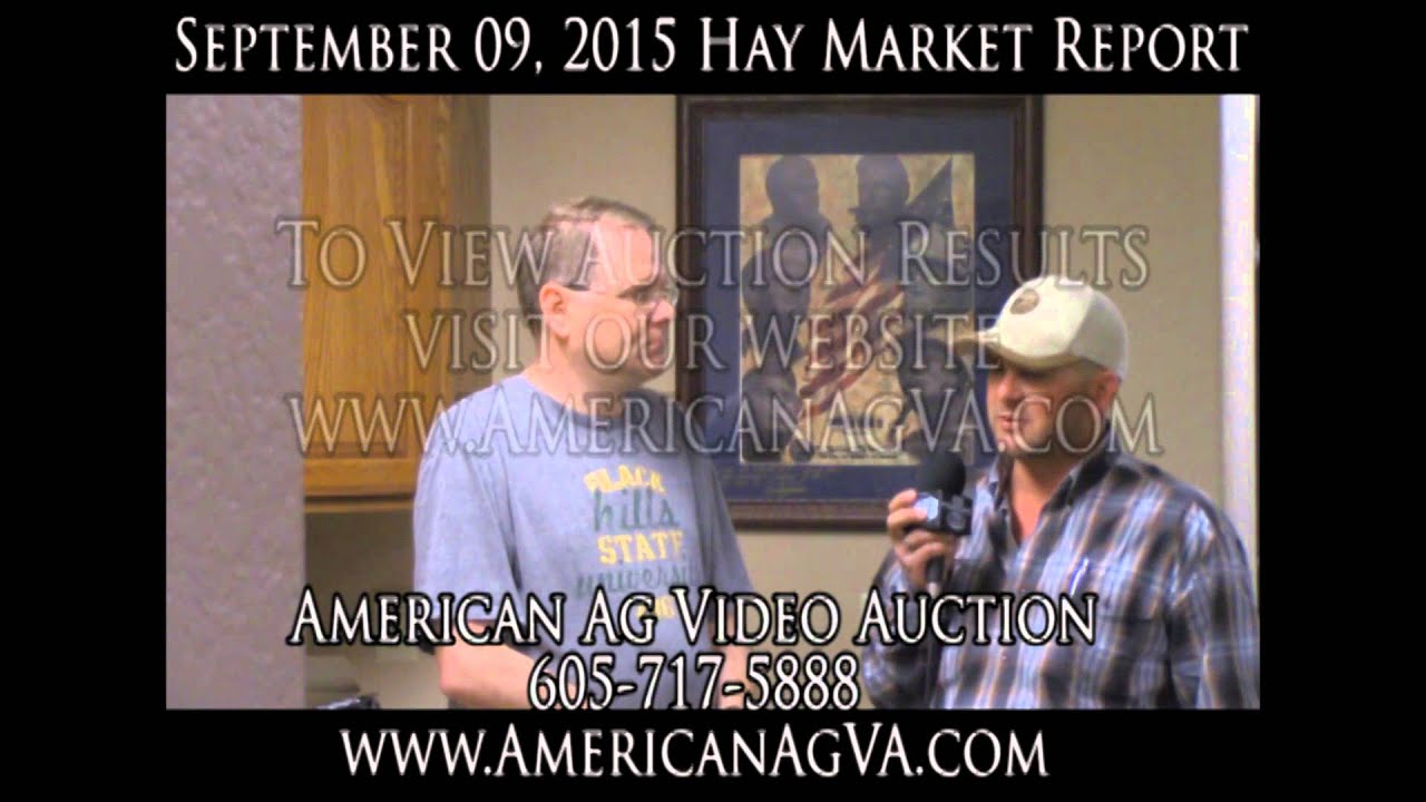 American Ag Video Auction Video Hay Market Report, September 09, 2015