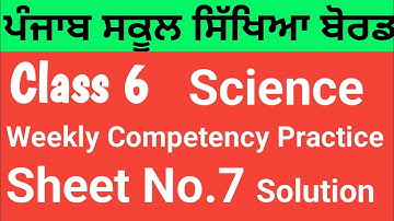 Class 6 | Science| Weekly Competency Practice sheets|Sheet No.7|PSEB@Sunnyedu7