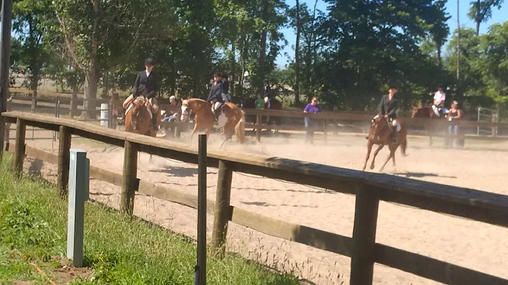Carissa horse show