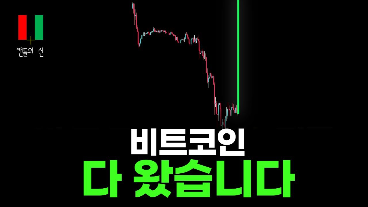 비트코인 캔들의 신 라이브 - YouTube