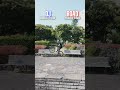 どっちの勝ち?【DJ vs ROAD】