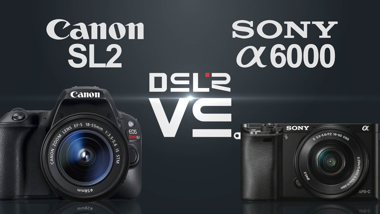 Sony canon сравнение. Canon vs Sony. Canon Rp vs Sony a6300. Sony Alpha a380 vs 250d. Sony Alpha 6500 vs Canon r10.