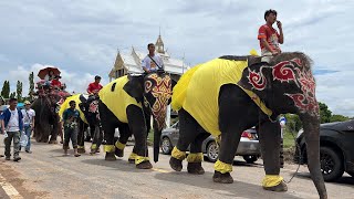 บัวบานร่วมงานเเห่‼️นาโนชุดหลุด