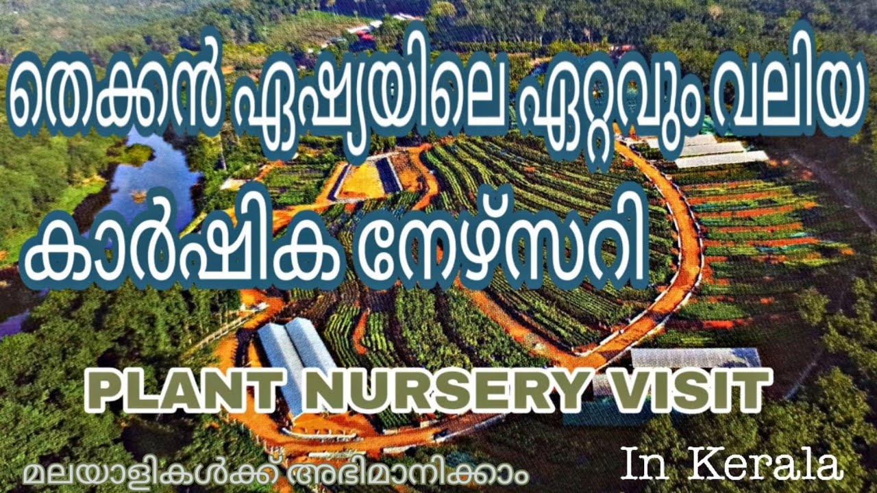 Home Grown Nursery / Plant Nursery /Plant Nursery/ Nursery Visit