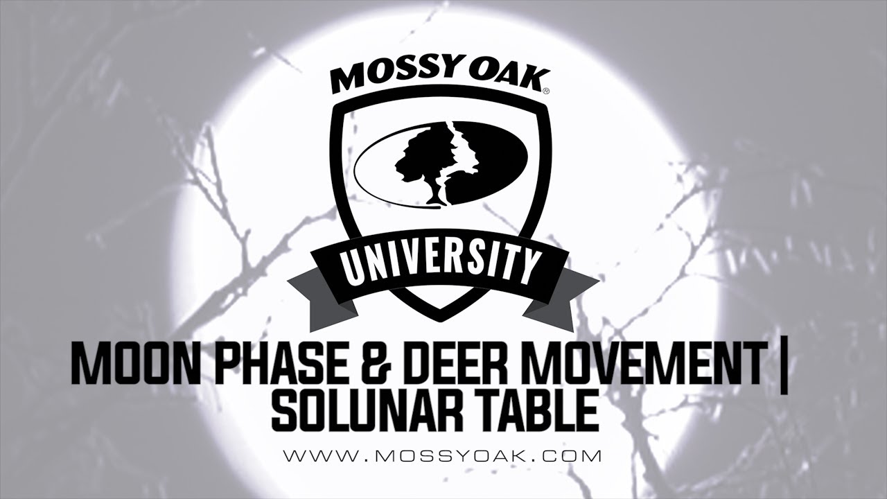 Moon Phase and Deer Movement - Solunar Table - YouTube