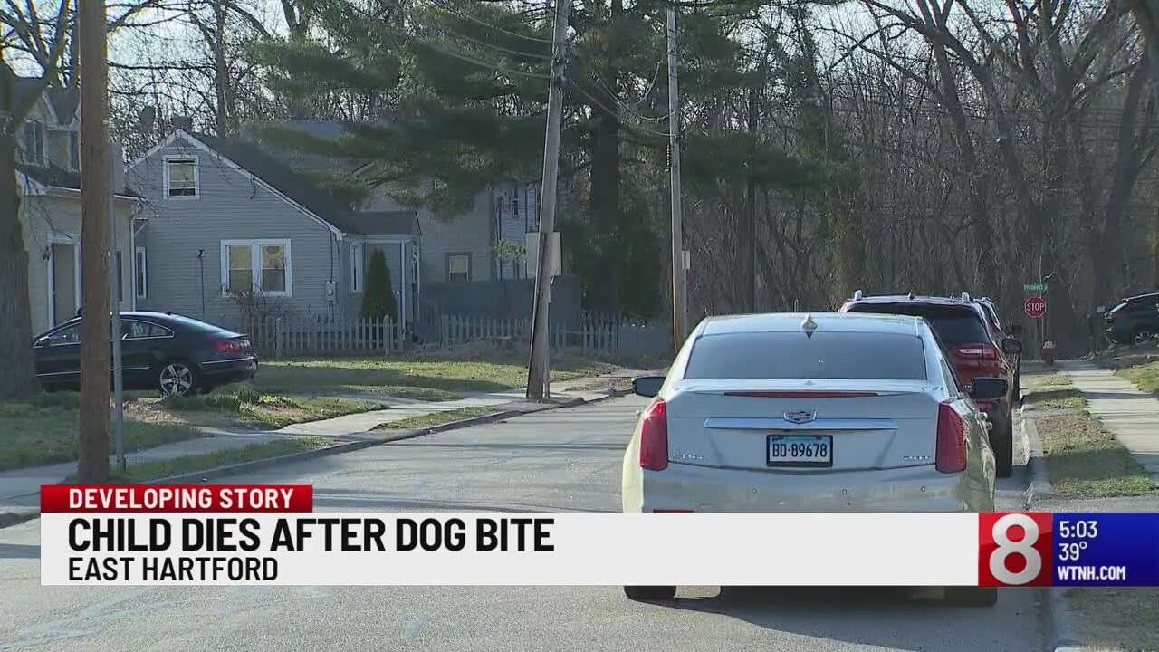 1-year-old child dies after being bit by dog in East Hartford - YouTube
